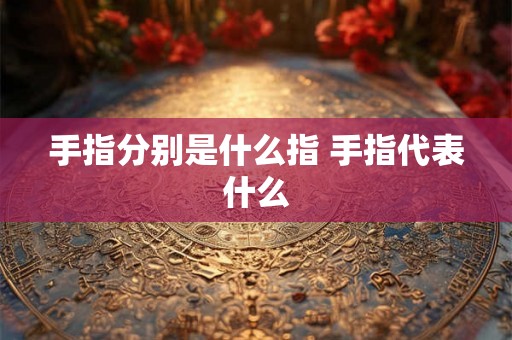 手指分别是什么指 手指代表什么