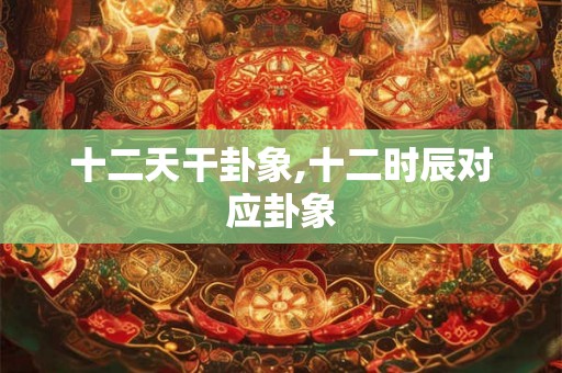 十二天干卦象,十二时辰对应卦象