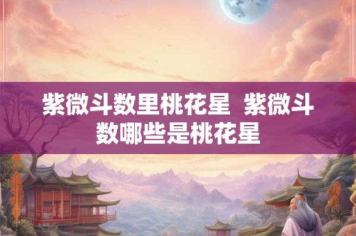 紫微斗数里桃花星  紫微斗数哪些是桃花星