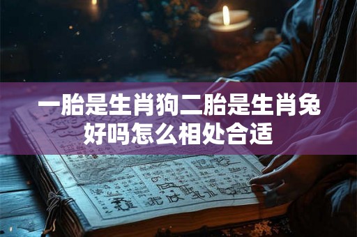 一胎是生肖狗二胎是生肖兔好吗怎么相处合适 一胎是生肖狗二胎是生肖兔好吗怎么相处合适