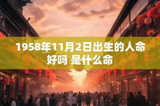 1958年11月2日出生的人命好吗 是什么命