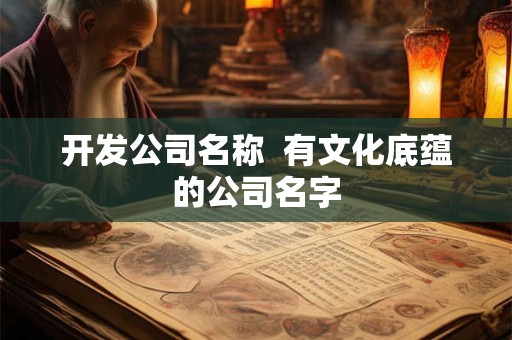 开发公司名称  有文化底蕴的公司名字