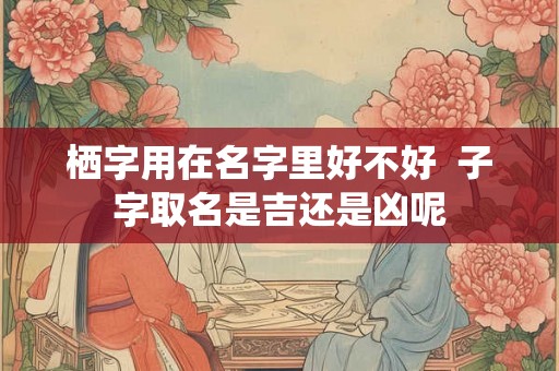 栖字用在名字里好不好  子字取名是吉还是凶呢
