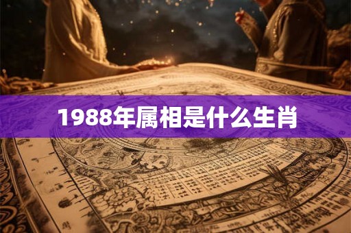 1988年属相是什么生肖 1988年属相是什么生肖