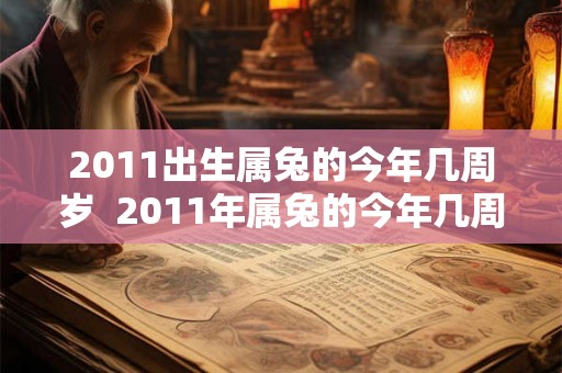 2011出生属兔的今年几周岁  2011年属兔的今年几周岁