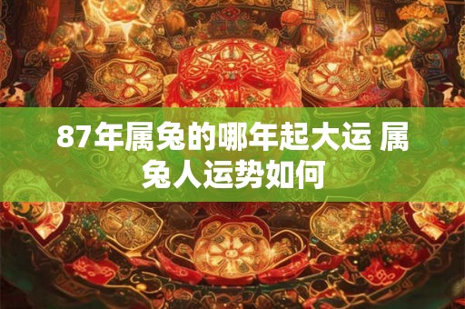 87年属兔的哪年起大运 属兔人运势如何 87年属兔的哪年起大运 属兔人运势如何