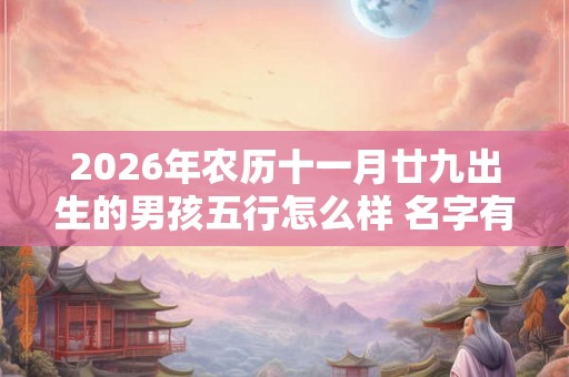 2026年农历十一月廿九出生的男孩五行怎么样 名字有什么高分推荐