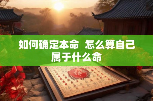 如何确定本命  怎么算自己属于什么命