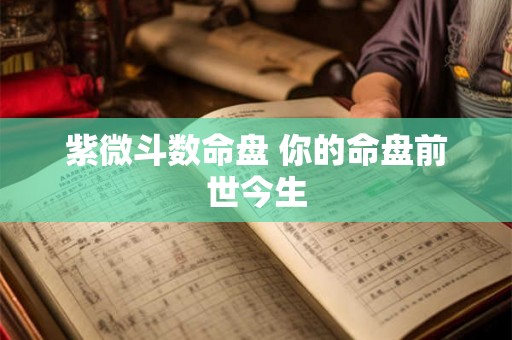 紫微斗数命盘 你的命盘前世今生