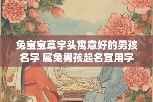 兔宝宝草字头寓意好的男孩名字 属兔男孩起名宜用字