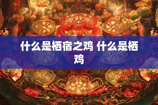 什么是栖宿之鸡 什么是栖鸡