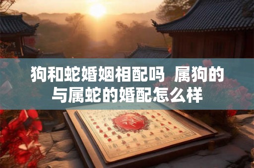 狗和蛇婚姻相配吗  属狗的与属蛇的婚配怎么样