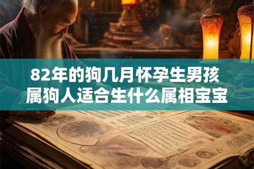 82年的狗几月怀孕生男孩 属狗人适合生什么属相宝宝