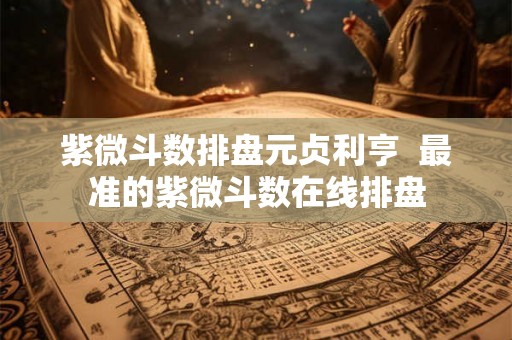 紫微斗数排盘元贞利亨  最准的紫微斗数在线排盘