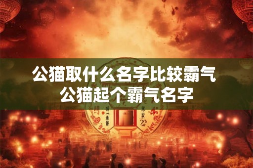 公猫取什么名字比较霸气 公猫起个霸气名字