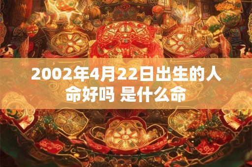 2002年4月22日出生的人命好吗 是什么命