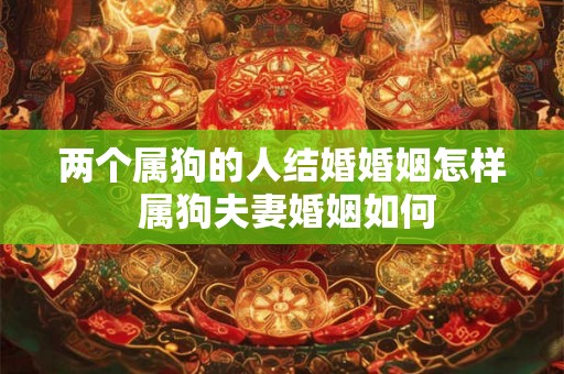 两个属狗的人结婚婚姻怎样 属狗夫妻婚姻如何
