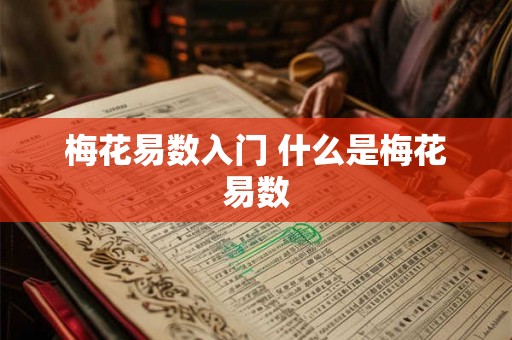 梅花易数入门 什么是梅花易数