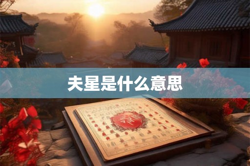 夫星是什么意思