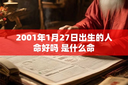 2001年1月27日出生的人命好吗 是什么命