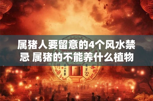 属猪人要留意的4个风水禁忌 属猪的不能养什么植物