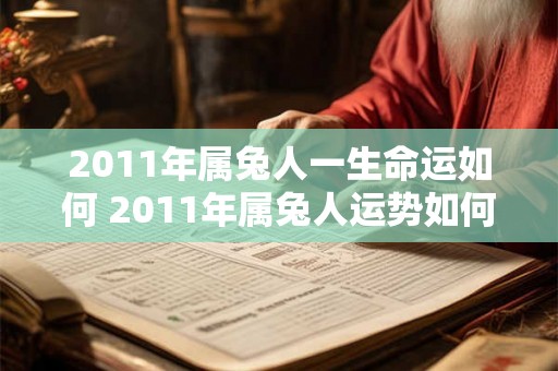 2011年属兔人一生命运如何 2011年属兔人运势如何