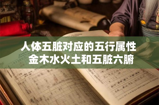 人体五脏对应的五行属性  金木水火土和五脏六腑