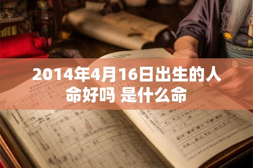 2014年4月16日出生的人命好吗 是什么命