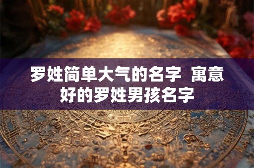 罗姓简单大气的名字  寓意好的罗姓男孩名字