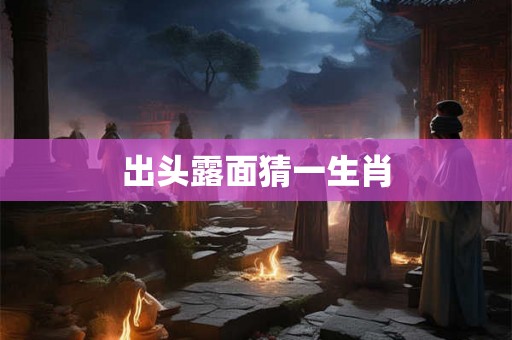 出头露面猜一生肖