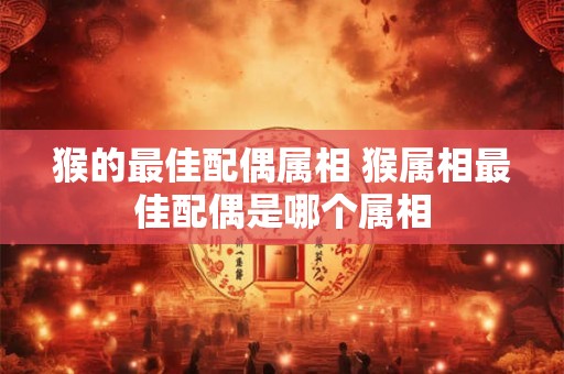 猴的最佳配偶属相 猴属相最佳配偶是哪个属相 猴的最佳配偶属相 猴属相最佳配偶是哪个属相