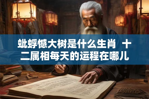 蚍蜉憾大树是什么生肖  十二属相每天的运程在哪儿