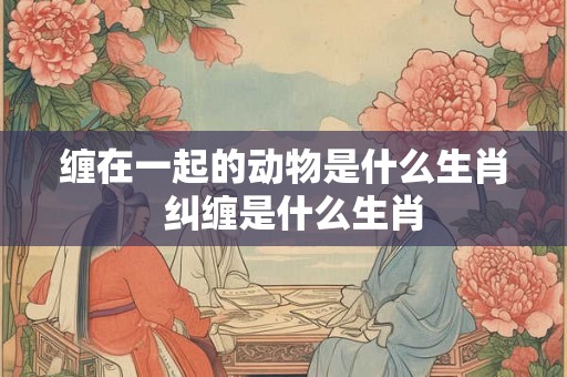 缠在一起的动物是什么生肖  纠缠是什么生肖
