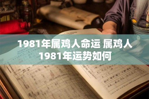 1981年属鸡人命运 属鸡人1981年运势如何