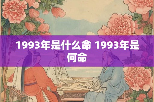 1993年是什么命 1993年是何命