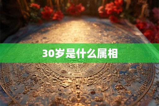 30岁是什么属相