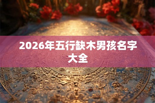 2026年五行缺木男孩名字大全