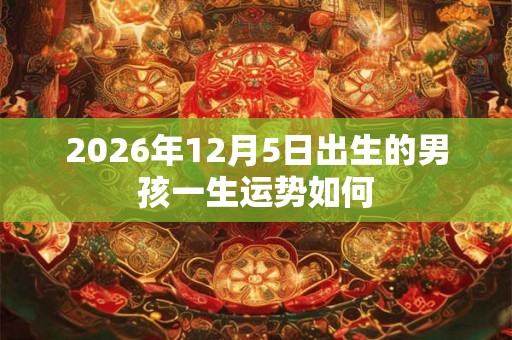 2026年12月5日出生的男孩一生运势如何