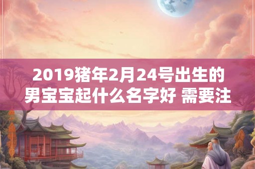 2019猪年2月24号出生的男宝宝起什么名字好 需要注意什么