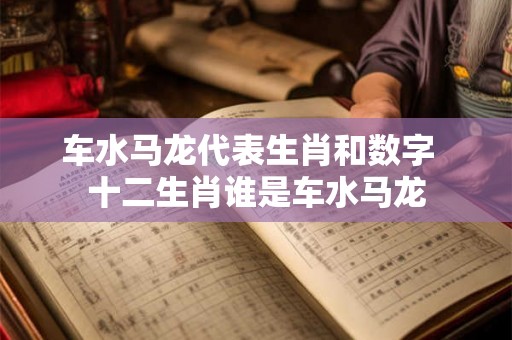 车水马龙代表生肖和数字 十二生肖谁是车水马龙 车水马龙代表生肖和数字 十二生肖谁是车水马龙