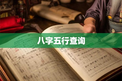八字五行查询