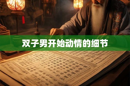 双子男开始动情的细节