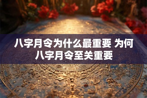八字月令为什么最重要 为何八字月令至关重要