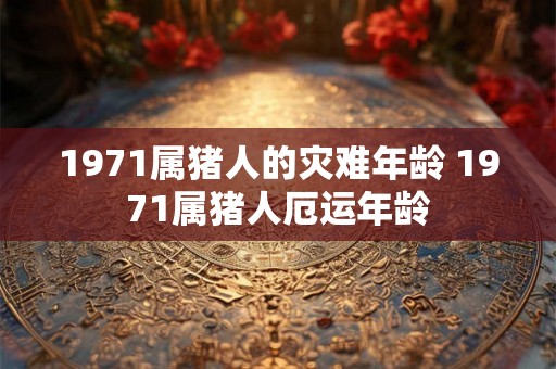 1971属猪人的灾难年龄 1971属猪人厄运年龄