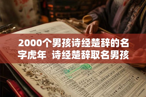 2000个男孩诗经楚辞的名字虎年  诗经楚辞取名男孩