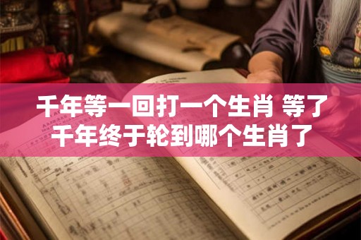 千年等一回打一个生肖 等了千年终于轮到哪个生肖了
