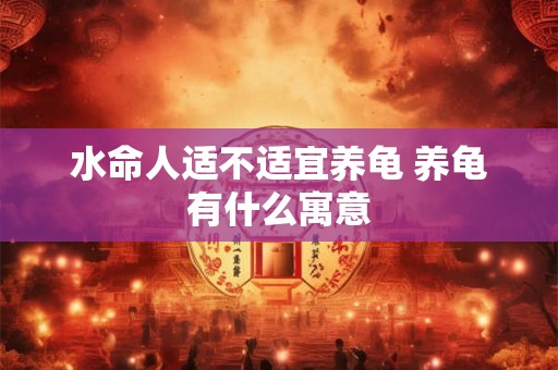 水命人适不适宜养龟 养龟有什么寓意 水命人适不适宜养龟 养龟有什么寓意
