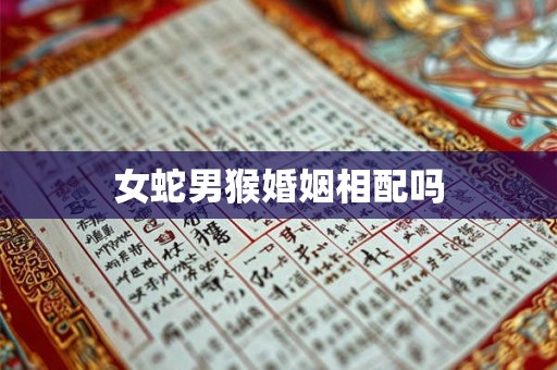 女蛇男猴婚姻相配吗