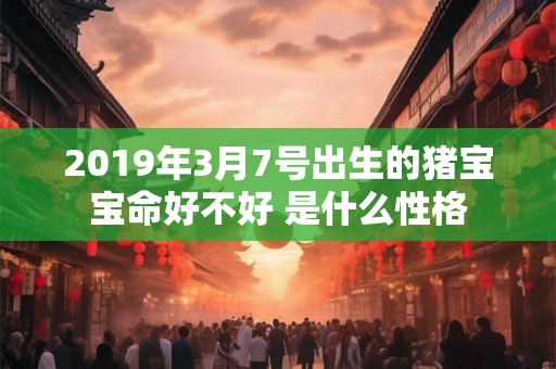 2019年3月7号出生的猪宝宝命好不好 是什么性格