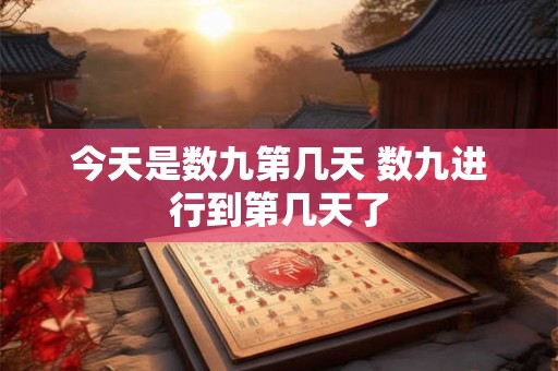 今天是数九第几天 数九进行到第几天了 今天是数九第几天 数九进行到第几天了